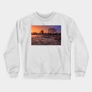 Winter Morning In Tyrone Crewneck Sweatshirt